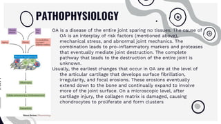 OA is a disease of the entire joint sparing no tissues. The cause of
OA is an interplay of risk factors (mentioned above),
mechanical stress, and abnormal joint mechanics. The
combination leads to pro-inflammatory markers and proteases
that eventually mediate joint destruction. The complete
pathway that leads to the destruction of the entire joint is
unknown.
Usually, the earliest changes that occur in OA are at the level of
the articular cartilage that develops surface fibrillation,
irregularity, and focal erosions. These erosions eventually
extend down to the bone and continually expand to involve
more of the joint surface. On a microscopic level, after
cartilage injury, the collagen matrix is damaged, causing
chondrocytes to proliferate and form clusters
PATHOPHYSIOLOGY
 