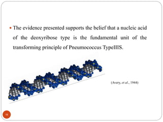  The evidence presented supports the belief that a nucleic acid
of the deoxyribose type is the fundamental unit of the
transforming principle of Pneumococcus TypeIIIS.
(Avery, et al., 1944)
16
 