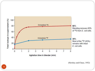(Hershey and Chase, 1952)
19
 