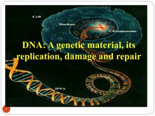 2
DNA: A genetic material, its
replication, damage and repair
 