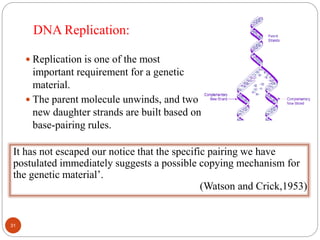 DNA Replication:
 Replication is one of the most
important requirement for a genetic
material.
 The parent molecule unwinds, and two
new daughter strands are built based on
base-pairing rules.
It has not escaped our notice that the specific pairing we have
postulated immediately suggests a possible copying mechanism for
the genetic material’.
(Watson and Crick,1953)
31
 