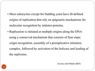  Most eukaryotes except for budding yeast have ill-defined
origins of replication that rely on epigenetic mechanisms for
molecular recognition by initiator proteins.
 Replication is initiated at multiple origins along the DNA
using a conserved mechanism that consists of four steps:
origin recognition, assembly of a prereplicative initiation
complex, followed by activation of the helicase and loading of
the replisome.
(Sclafani and Holzen,2007)
42
 