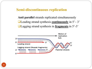 Semi-discontinuous replication
Anti parallel strands replicated simultaneously
Leading strand synthesis continuously in 5’– 3’
Lagging strand synthesis in fragments in 5’-3’
45
 