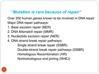 “Mutation is rare because of repair”
Over 200 human genes known to be involved in DNA repair
Major DNA repair pathways:
1. Base excision repair (BER)
2. DNA Mismatch repair (MMR)
3. Nucleotide excision repair (NER)
4. DNA strand break repair pathways:
Single strand break repair (SSBR)
Double-strand break repair pathways (DSBR)
Homologous Recombination (HR)
Nonhomologous end joining (NHEJ)
56
 