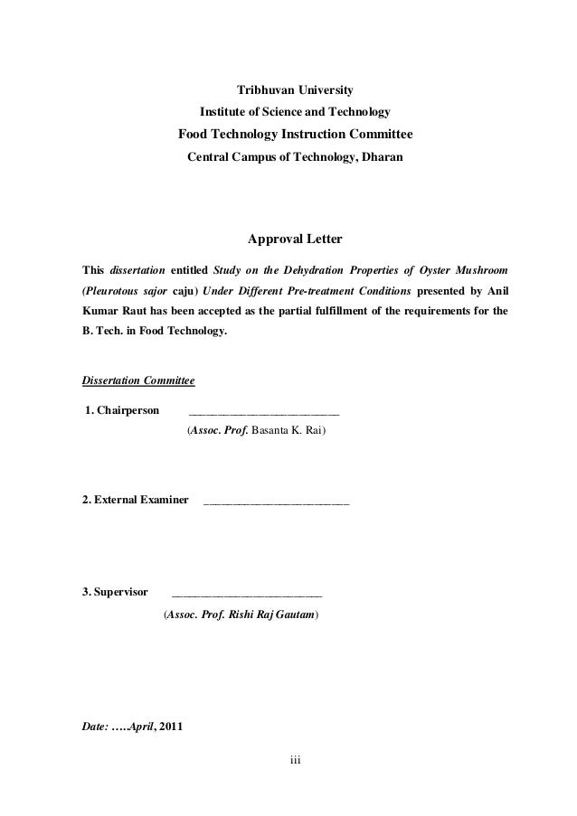 Bulent anil dissertation
