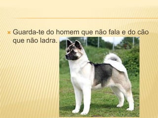Guarda-te do homem que não fala e do cão que não ladra.