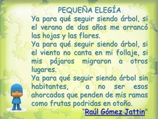 PEQUEÑA ELEGÍA
Ya para qué seguir siendo árbol, si
el verano de dos años me arrancó
las hojas y las flores.
Ya para qué seguir siendo árbol, si
el viento no canta en mi follaje, si
mis pájaros migraron a otros
lugares.
Ya para qué seguir siendo árbol sin
habitantes,       a no ser esos
ahorcados que penden de mis ramas
como frutas podridas en otoño.
                 “Raúl Gómez Jattin"
 