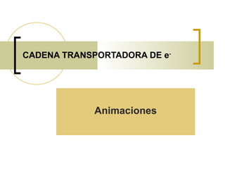 CADENA TRANSPORTADORA DE e - Animaciones 
