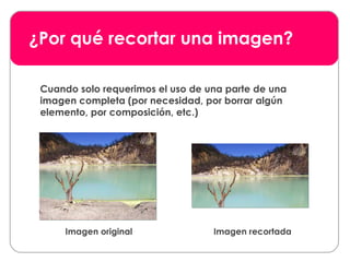 ¿Por qué recortar una imagen? Cuando solo requerimos el uso de una parte de una imagen completa (por necesidad, por borrar algún elemento, por composición, etc.) Imagen original Imagen recortada 