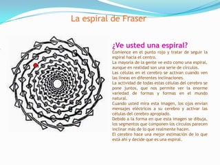                                                             .La espiral de Fraser¿Ve usted una espiral?Comience en el punto rojo y tratar de seguir la espiral hacia el centro. La mayoría de la gente ve esto como una espiral, aunque en realidad son una serie de círculos.Las células en el cerebro se activan cuando ven las líneas en diferentes inclinaciones.La actividad de todas estas células del cerebro se pone juntos, que nos permite ver la enorme variedad de formas y formas en el mundo natural.Cuando usted mira esta imagen, los ojos envían mensajes eléctricos a su cerebro y activar las células del cerebro apropiado.Debido a la forma en que esta imagen se dibuja, los segmentos que componen los círculos parecen inclinar más de lo que realmente hacen.El cerebro hace una mejor estimación de lo que está ahí y decide que es una espiral.