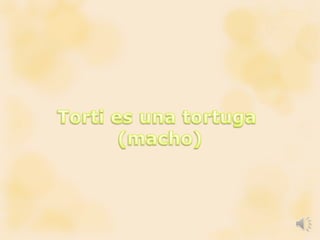 Animacion torti