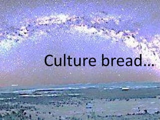 Culture bread…
 