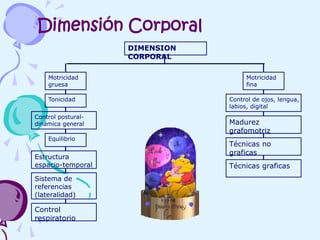 Dimensión Corporal
DIMENSION
CORPORAL
Motricidad Motricidad
gruesa fina
Tonicidad Control de ojos, lengua,
labios, digital
Control postural-
dinámica general Madurez
grafomotriz
Equilibrio
Técnicas no
graficas
Estructura
espacio-temporal Técnicas graficas
Sistema de
referencias
(lateralidad)
Control
respiratorio