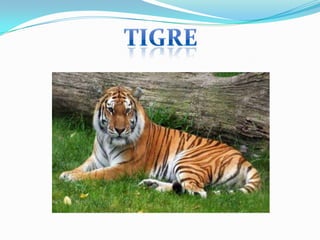 Parque de las Leyendas