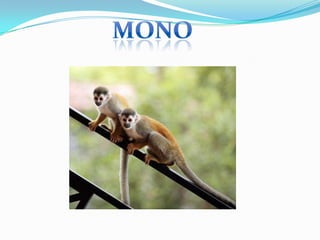 Parque de las Leyendas