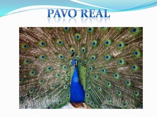 Parque de las Leyendas