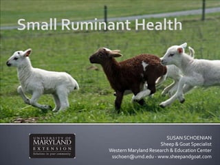 Small Ruminant Health SUSAN SCHOENIANSheep & Goat Specialist Western Maryland Research & Education Centersschoen@umd.edu - www.sheepandgoat.com 
