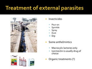 Small Ruminant Health | PPTX