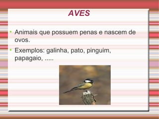AVES Animais que possuem penas e nascem de ovos. Exemplos: galinha, pato, pinguim, papagaio, .....