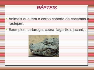 RÉPTEIS Animais que tem o corpo coberto de escamas e rastejam. Exemplos: tartaruga, cobra, lagartixa, jacaré, ...