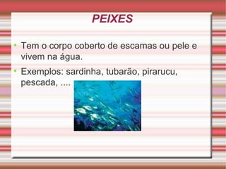 PEIXES Tem o corpo coberto de escamas ou pele e vivem na água. Exemplos: sardinha, tubarão, pirarucu, pescada, ....
