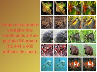 Foram encontrados vestígios dos vertebrados até ao período Siluriano (há 444 a 409 milhões de anos). 