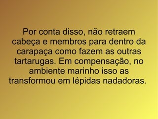 Por conta disso, não retraem cabeça e membros para dentro da carapaça como fazem as outras tartarugas. Em compensação, no ambiente marinho isso as transformou em lépidas nadadoras.  