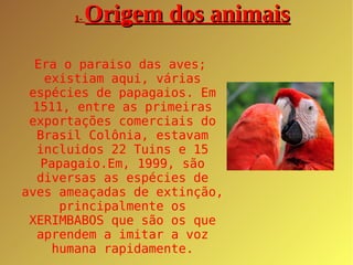 1-  Origem dos animais Era o paraiso das aves; existiam aqui, várias espécies de papagaios. Em 1511, entre as primeiras exportações comerciais do Brasil Colônia, estavam incluidos 22 Tuins e 15 Papagaio.Em, 1999, são diversas as espécies de aves ameaçadas de extinção, principalmente os XERIMBABOS que são os que aprendem a imitar a voz humana rapidamente. 