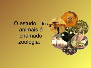 O estudo  dos  animais é chamado zoologia.  