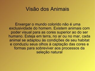 Enxergar o mundo colorido não é uma exclusividade do homem. Existem animais com poder visual para as cores superior ao do ser humano. Esteja em terra, no ar ou no mar, cada animal se adaptou às condições de seu habitat e conduziu seus olhos à captação das cores e formas para sobreviver aos processos da seleção natural Visão dos Animais 