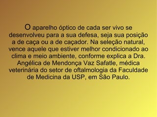 O  aparelho óptico de cada ser vivo se desenvolveu para a sua defesa, seja sua posição a de caça ou a de caçador. Na seleção natural, vence aquele que estiver melhor condicionado ao clima e meio ambiente, conforme explica a Dra. Angélica de Mendonça Vaz Safatle, médica veterinária do setor de oftalmologia da Faculdade de Medicina da USP, em São Paulo. 