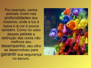 Por exemplo, certos animais vivem nas  profundidades  dos oceanos, onde a luz é baixa e  a  cor é pouca também. Como no caso desses  peixes  a definição das cores não melhora seu  desempenho , seu olho se desenvolveu para  garantir  sua segurança no escuro. 