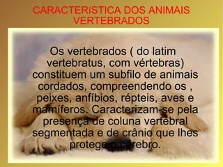 Os vertebrados ( do latim vertebratus, com vértebras) constituem um subfilo de animais cordados, compreendendo os , peixes, anfíbios, répteis, aves e mamíferos. Caracterizam-se pela presença de coluna vertebral segmentada e de crânio que lhes protege o cérebro. CARACTERíSTICA DOS ANIMAIS VERTEBRADOS 