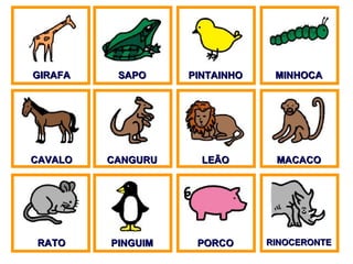 GIRAFA SAPO PINTAINHO MINHOCA CAVALO CANGURU LEÃO MACACO RATO PINGUIM PORCO RINOCERONTE 