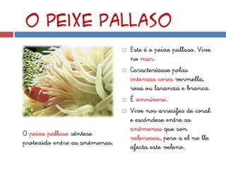 O peixe pallaso
                                  Este é o peixe pallaso. Vive
                                   no mar.
                                  Caracterízase polas
                                   intensas cores vermella,
                                   rosa ou laranxa e branca.
                                  É omnívoro.
                                  Vive nos arrecifes de coral
                                   e escóndese entre as
                                   anémonas que son
O peixe pallaso séntese
                                   velenosas, pero a el no lle
protexido entre as anémonas.
                                   afecta este veleno.
 