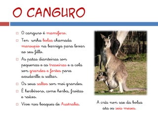 O canguro
   O canguro é mamífero.
   Ten unha bolsa chamada
    marsupio na barriga para levar
    ao seu fillo.
   As patas dianteiras son
    pequenas e as traseiras e a cola
    son grandes e fortes para
    axudarlle a saltar.
   Os seus saltos son moi grandes.
   É herbívoro, come herba, froitas
    e raíces.
   Vive nos bosques de Australia.     A cría non sae da bolsa
                                          ata os seis meses.
 