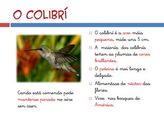 O colibrí
                             O colibrí é a ave máis
                              pequena, mide uns 5 cm.
                             A maioría dos colibrís
                              teñen as plumas de cores
                              brillantes.
                             O peteiro é moi longo e
                              delgado.
                             Alimentase do néctar das
Cando está comendo pode       flores.
manterse parado no aire      Vive nos bosques de
sen caer.                     América.
 