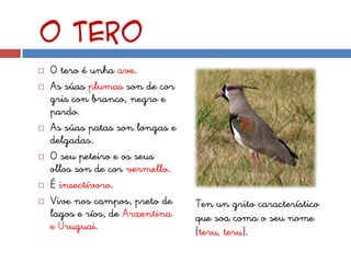 O tero
   O tero é unha ave.
   As súas plumas son de cor
    gris con branco, negro e
    pardo.
   As súas patas son longas e
    delgadas.
   O seu peteiro e os seus
    ollos son de cor vermello.
   É insectívoro.
   Vive nos campos, preto de    Ten un grito característico
    lagos e ríos, de Arxentina   que soa coma o seu nome
    e Uruguai.                   (teru, teru).
 