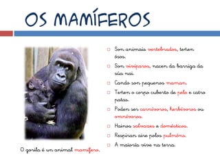 Os mamíferos
                                    Son animais vertebrados, teñen
                                     ósos.
                                    Son vivíparos, nacen da barriga da
                                     súa nai.
                                    Cando son pequenos maman.
                                    Teñen o corpo cuberto de pelo e catro
                                     patas.
                                    Poden ser carnívoros, herbívoros ou
                                     omnívoros.
                                    Hainos salvaxes e domésticos.
                                    Respiran aire polos pulmóns.
                                    A maioría vive na terra.
O gorila é un animal mamífero.
 