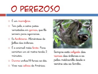 O perezoso
   É un mamífero.
   Ten pelo, e catro patas
    rematadas en garras, que lle
    serven para agarrarse.
   Es herbívoro. Aliméntase de
    follas das árbores.
   É o animal máis lento. Para
    camiñar un só metro tarda 2    Sempre está colgado das
    minutos.                       ramas das árbores e os
   Durme unhas18 horas ao día.    pelos médranlle desde o
                                   ventre ata ao lombo.
   Vive nas selvas de América.
 