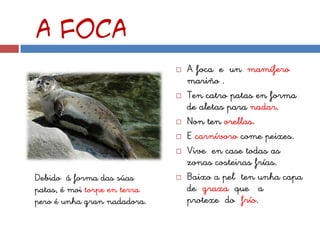 A foca
                                 A foca e un mamífero
                                  mariño .
                                 Ten catro patas en forma
                                  de aletas para nadar.
                                 Non ten orellas.
                                 E carnívoro come peixes.
                                 Vive en case todas as
                                  zonas costeiras frías.
Debido á forma das súas          Baixo a pel ten unha capa
patas, é moi torpe en terra       de graxa que a
pero é unha gran nadadora.        protexe do frío.
 