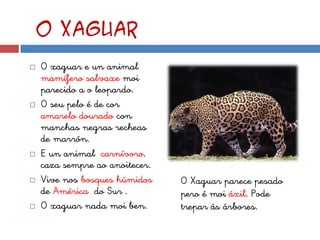 O xaguar
   O xaguar e un animal
    mamífero salvaxe moi
    parecido a o leopardo.
   O seu pelo é de cor
    amarelo dourado con
    manchas negras recheas
    de marrón.
   E un animal carnívoro.
    caza sempre ao anoitecer.
   Vive nos bosques húmidos    O Xaguar parece pesado
    de América do Sur .         pero é moi áxil. Pode
   O xaguar nada moi ben.      trepar ás árbores.
 