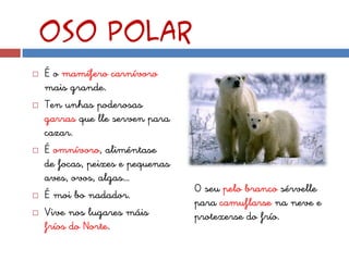 Oso polar
   É o mamífero carnívoro
    mais grande.
   Ten unhas poderosas
    garras que lle serven para
    cazar.
   É omnívoro, aliméntase
    de focas, peixes e pequenas
    aves, ovos, algas…
                                  O seu pelo branco sérvelle
   É moi bo nadador.
                                  para camuflarse na neve e
   Vive nos lugares máis         protexerse do frío.
    fríos do Norte.
 