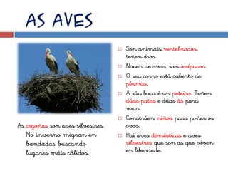 As aves
                                     Son animais vertebrados,
                                      teñen ósos.
                                     Nacen de ovos, son ovíparos.
                                     O seu corpo está cuberto de
                                      plumas.
                                     A súa boca é un peteiro. Teñen
                                      dúas patas e dúas ás para
                                      voar.
                                     Constrúen niños para poñer os
As cegoñas son aves silvestres.       ovos.
   No inverno migran en              Hai aves domésticas e aves
   bandadas buscando                  silvestres que son as que viven
   lugares máis cálidos.              en liberdade.
 