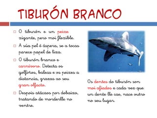Tiburón branco
   O tiburón e un peixe
    xigante, pero moi flexible.
   A súa pel é áspera, se a tocas
    parece papel de lixa.
   O tiburón branco e
    carnívoro. Detecta os
    golfiños, baleas e os peixes a
    distancia, grazas ao seu
                                     Os dentes do tiburón son
    gran olfacto.
                                     moi afiados e cada vez que
   Despois atácaos por debaixo,     un dente lle cae, nace outro
    tratando de morderlle no         no seu lugar.
    ventre.
 