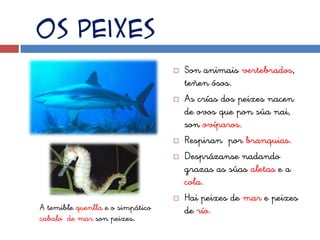Os peixes
                                     Son animais vertebrados,
                                      teñen ósos.
                                     As crías dos peixes nacen
                                      de ovos que pon súa nai,
                                      son ovíparos.
                                     Respiran por branquias.
                                     Desprázanse nadando
                                      grazas as súas aletas e a
                                      cola.
                                     Hai peixes de mar e peixes
A temible quenlla e o simpático       de río.
cabalo de mar son peixes.
 