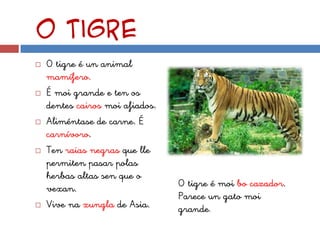 O tigre
   O tigre é un animal
    mamífero.
   É moi grande e ten os
    dentes cairos moi afiados.
   Aliméntase de carne. É
    carnívoro.
   Ten raias negras que lle
    permiten pasar polas
    herbas altas sen que o
    vexan.                       O tigre é moi bo cazador.
                                 Parece un gato moi
   Vive na xungla de Asia.      grande.
 