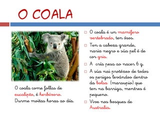 O coala
                                O coala é un mamífero
                                 vertebrado, ten ósos.
                                Ten a cabeza grande,
                                 nariz negro e súa pel é de
                                 cor gris.
                                A cría pesa ao nacer 6 g.
                                A súa nai protéxeo de todos
                                 os perigos levándoo dentro
                                 da bolsa (marsupio) que
O coala come follas de           ten na barriga, mentres é
eucalipto, é herbívoro.          pequeno.
Durme moitas horas ao día.      Vive nos bosques de
                                 Australia.
 