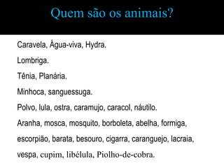 Quem são os animais?

Caravela, Água-viva, Hydra.
Lombriga.
Tênia, Planária.
Minhoca, sanguessuga.
Polvo, lula, ostra, caramujo, caracol, náutilo.
Aranha, mosca, mosquito, borboleta, abelha, formiga,
escorpião, barata, besouro, cigarra, caranguejo, lacraia,
vespa, cupim, libélula, Piolho-de-cobra.
 