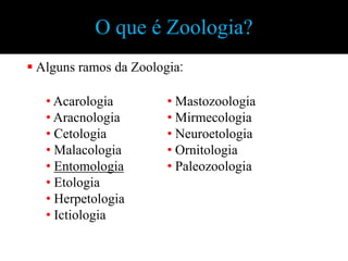 O que é Zoologia?
 Alguns ramos da Zoologia:

   • Acarologia         • Mastozoologia
   • Aracnologia        • Mirmecologia
   • Cetologia          • Neuroetologia
   • Malacologia        • Ornitologia
   • Entomologia        • Paleozoologia
   • Etologia
   • Herpetologia
   • Ictiologia
 